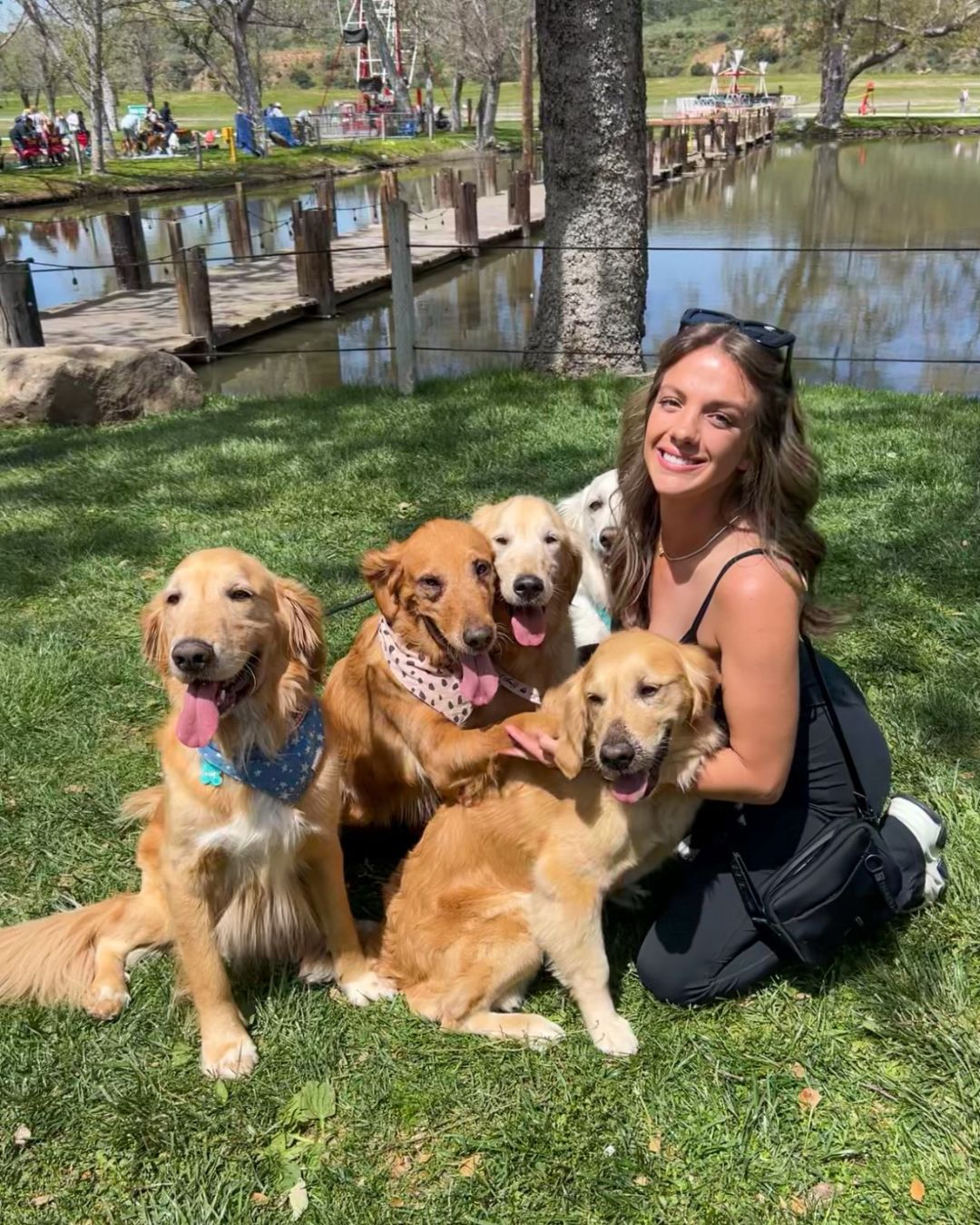 Structured socialization training for dogs