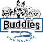 Buddies Dog Walking